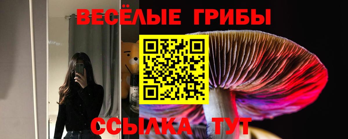 купить   Вход с VPN  Белебей  Псилоцибиновые грибы MAGIC MUSHROOMS 